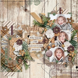 WPD-TD-Winter-9Dec.jpg