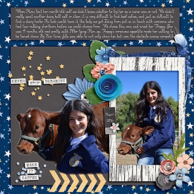 WendyP-ChasingDreams_Jula-Aug-2016_copy.jpg