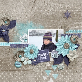 Winter-Days3.jpg
