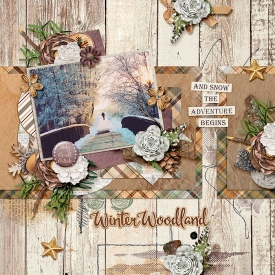 WinterWoodland_DecemberInLayouts2-700.jpg