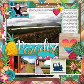 allyanne_Hawaii-02.jpg
