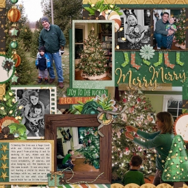 allyanne_botanical-christmas-01.jpg