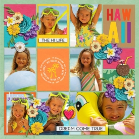 atwhawaii-S77.jpg