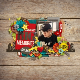 littlemomentsbigmemoriesF700.jpg