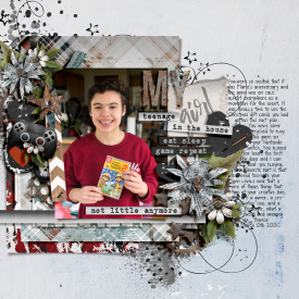 teenageInTheHouse_Dalis_700.jpg