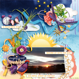 wendyp-Sunrise.jpg