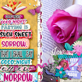 wendyp-mcreations-Book-Lovers-Romance-TCOT-For-The-Love-of-Literature.jpg