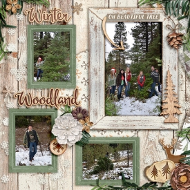 wendyp-winter-woodland-12-6-2015-600.jpg
