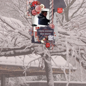 winterwonderlandF7001.jpg