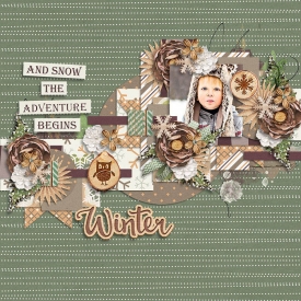 winterwoodland-77.jpg