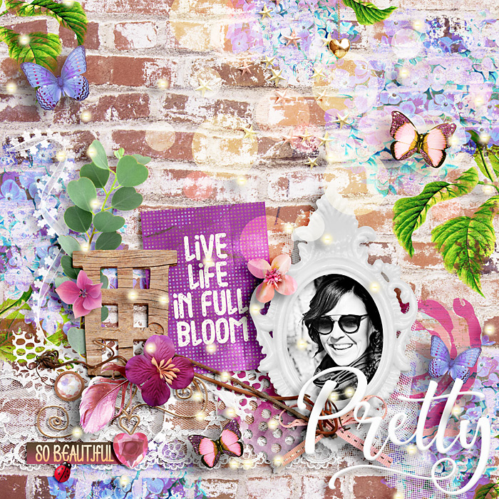 wendyp-hydrangea-love-700-cindy