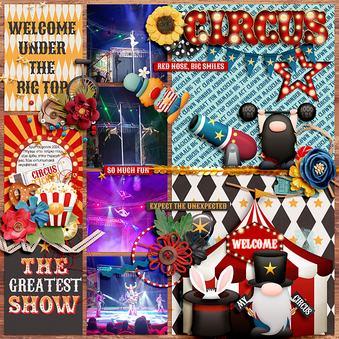 wendyp_Cirque_dreams_Page_Protectors_27