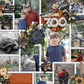 Robin_Small-But-Mighty-700.jpg