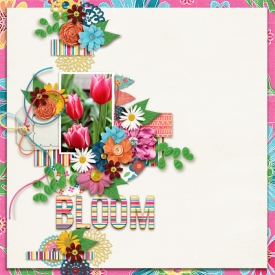 SFD_CL_Bloom.jpg