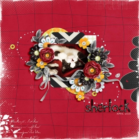 clivesay-autumnartistry-temp3_700.jpg
