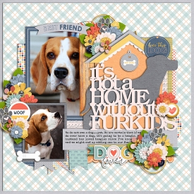 furkidsF700.jpg