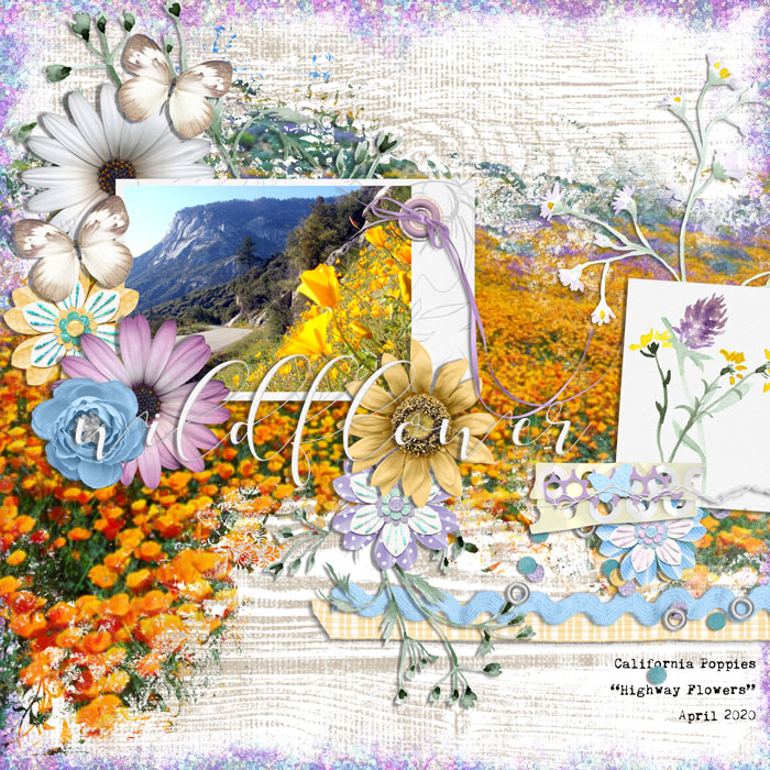 0403-RR-wildflower