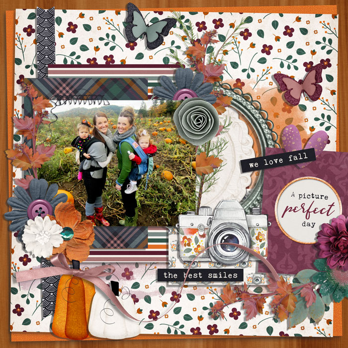 1001-RR-snapshot