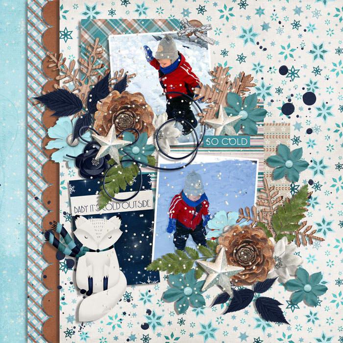 1126-RR-cozy