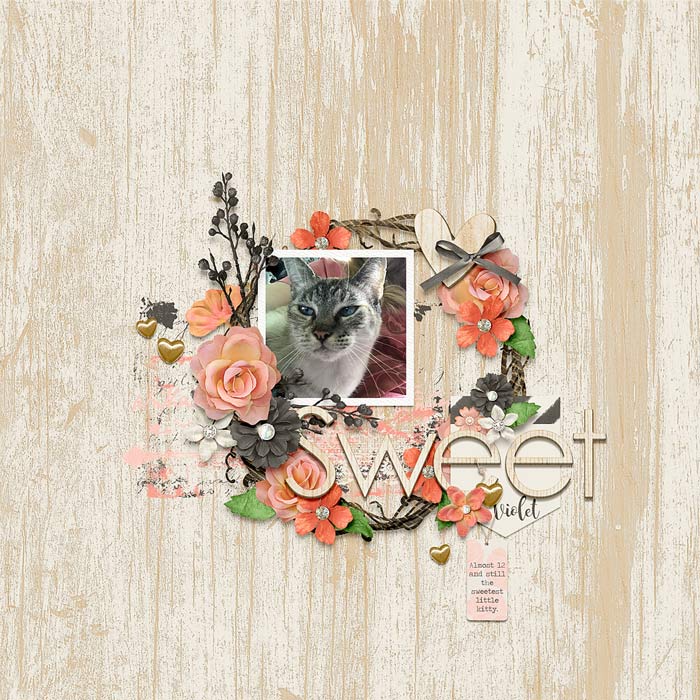 18-sweet-violet-0616rr