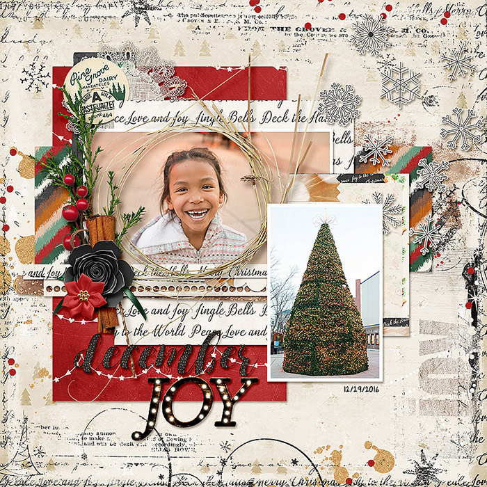 2016-12-29-decemberjoy_sm