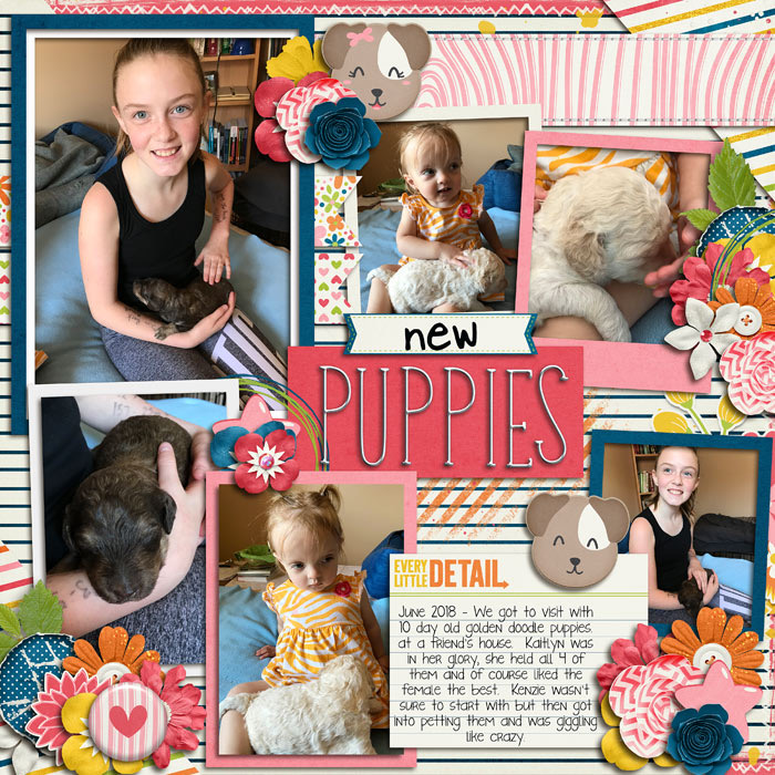 2018-06_New_Puppies