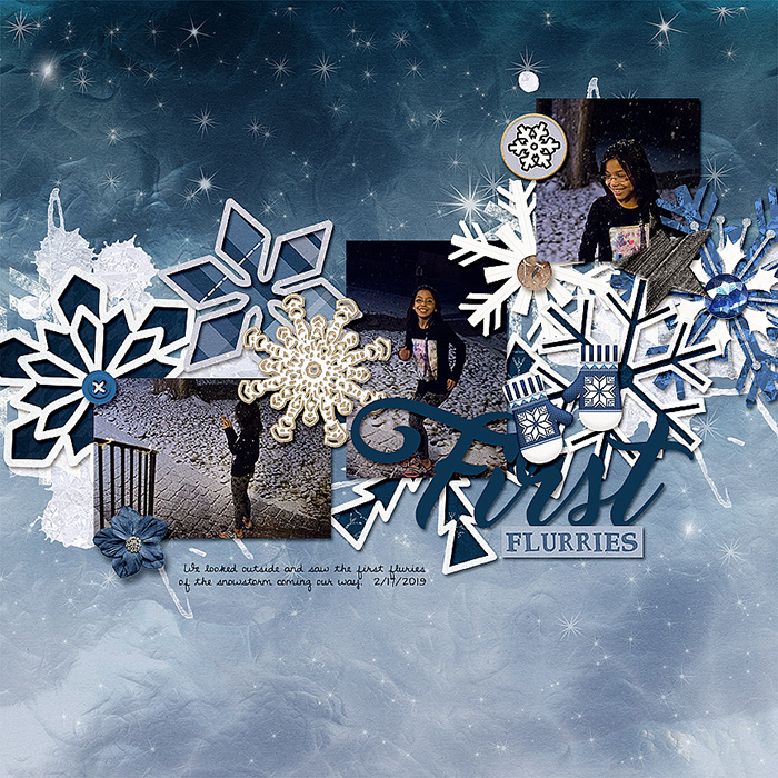 2019-02-17-firstflurries_sm