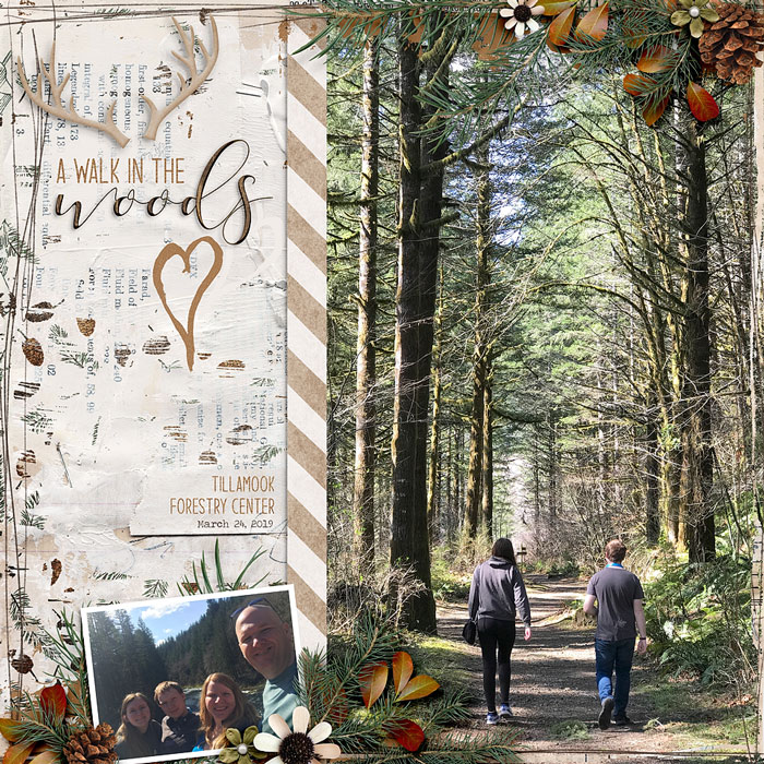 29-a-walk-in-the-woods-0917rr