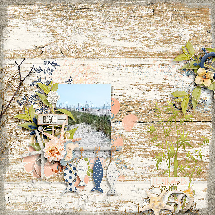 Beach35