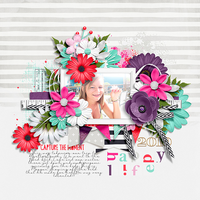 Happy-Life2
