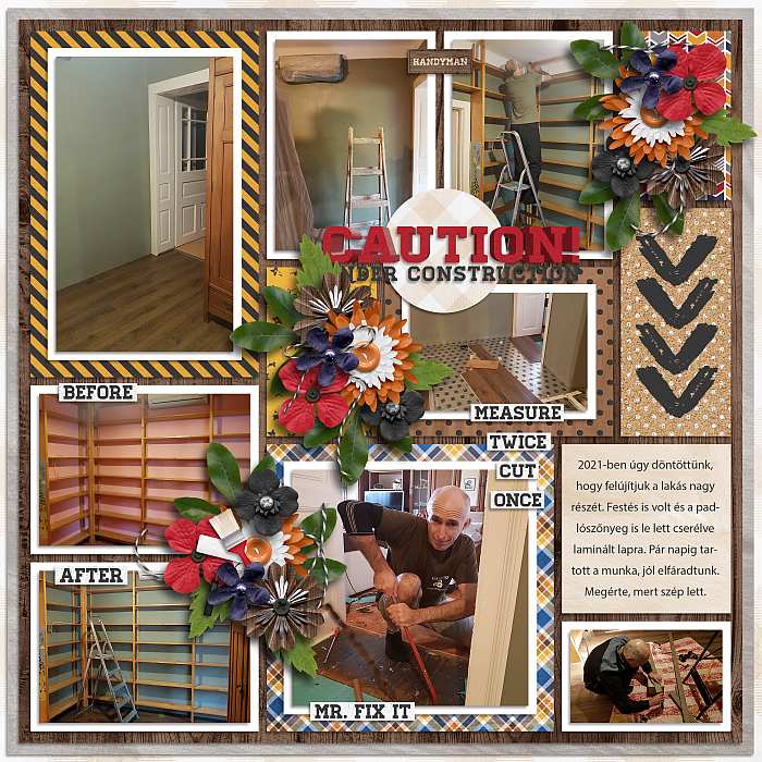 Homeimprovementdip1