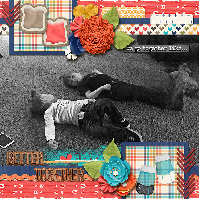 MFish_BigPhotoChevron_rr_togetherisbetter_robin_700