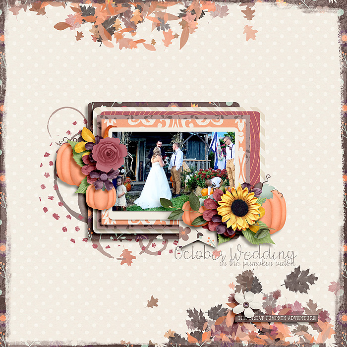 Pumpkin-Patch-Wedding