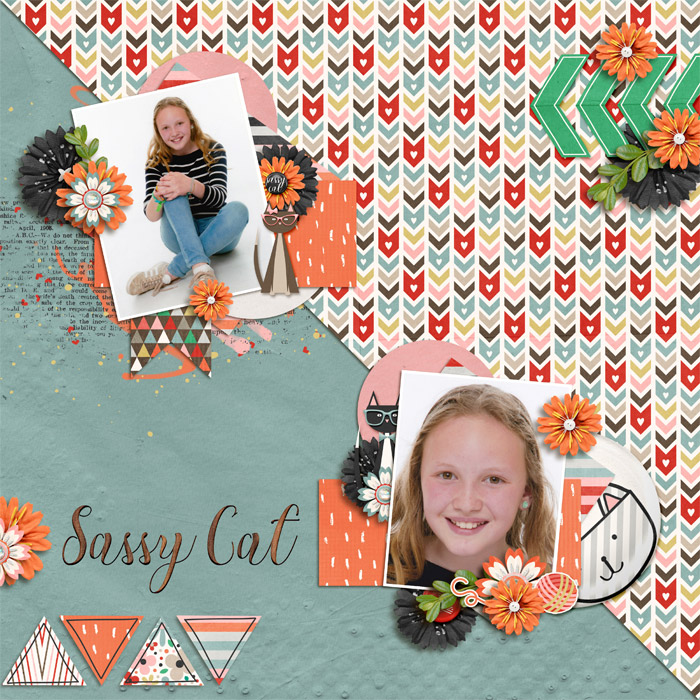 SassyCat
