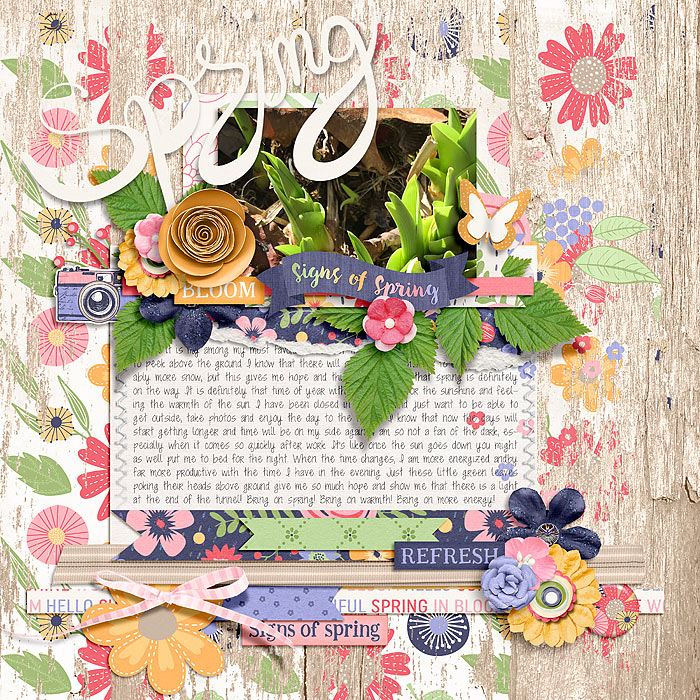 Spring46