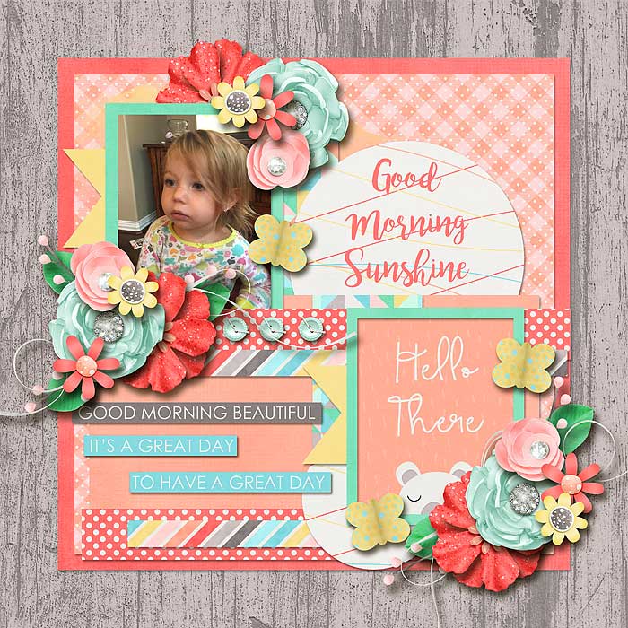Tinci_YS8_rr_beautifulday_robin_700