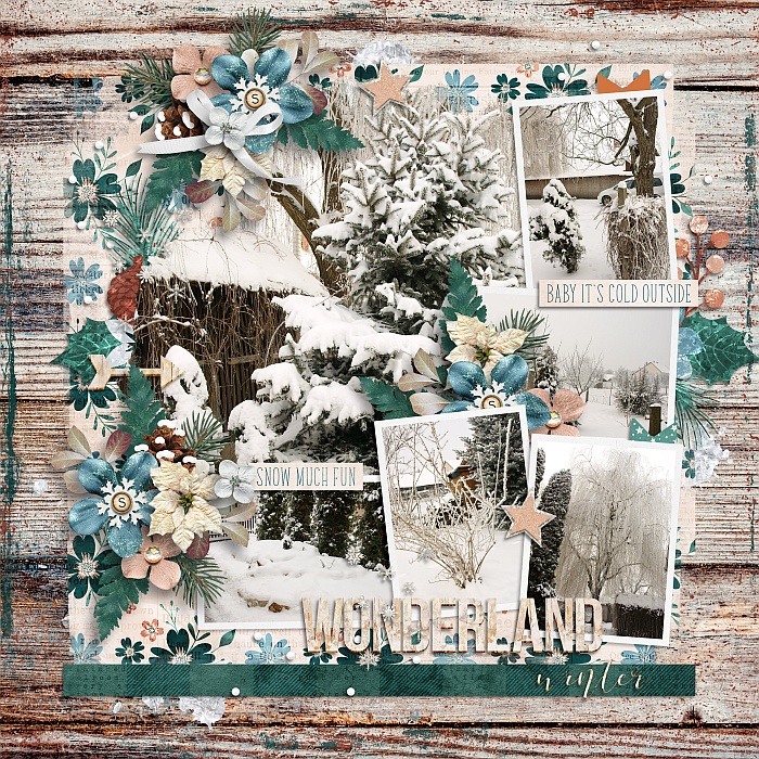 Winterwonderlandbp12