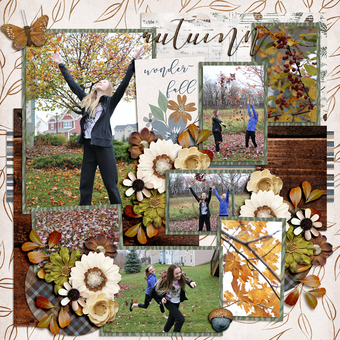 autumn_ssd1