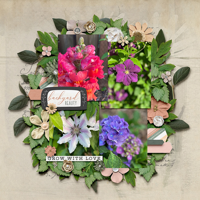 backyard-beauty-0623rr