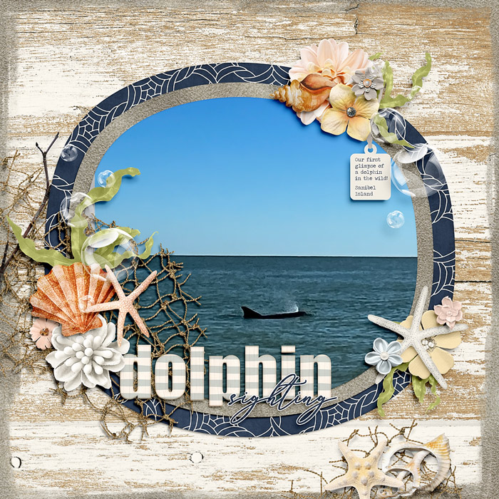 dolphin-sighting-0415rr