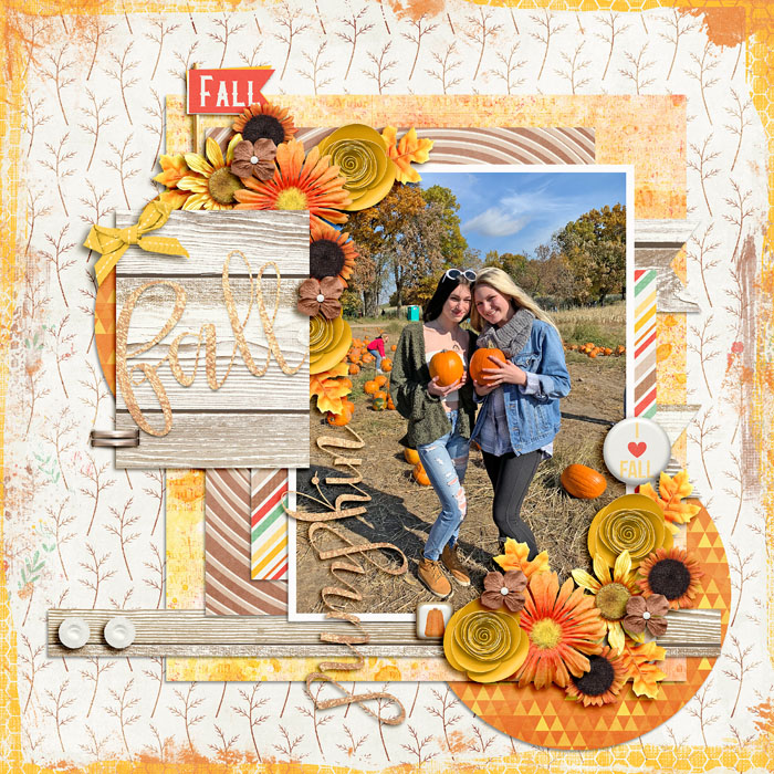 fall_ssd1