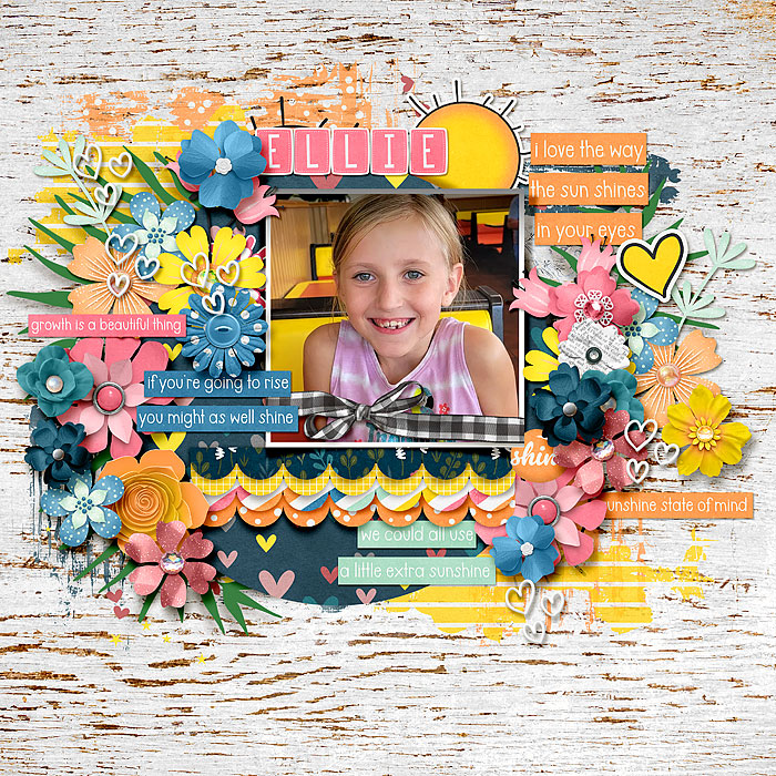 fdd_LoveandLaughter_rr_sunmoon_robin_web