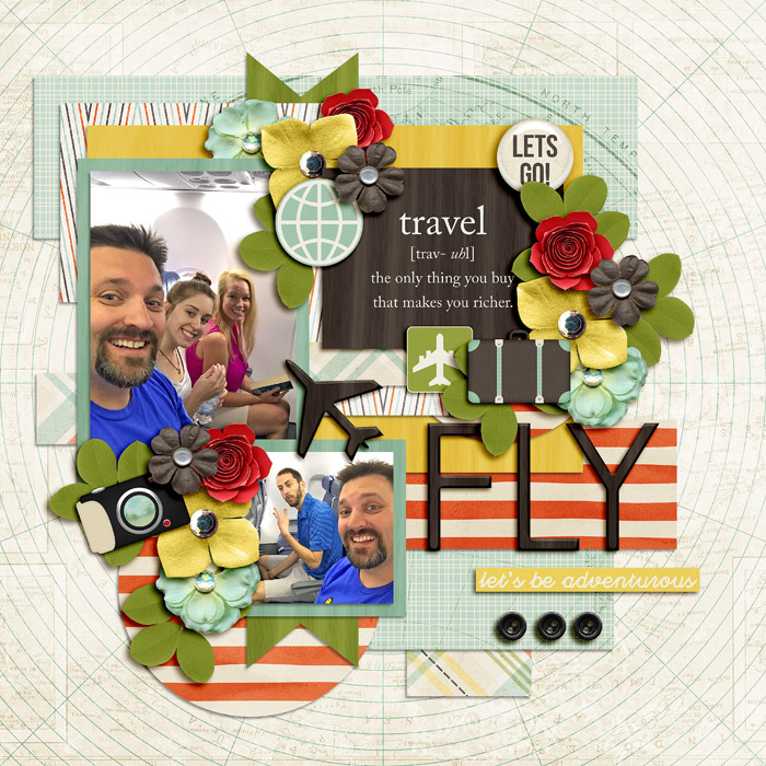 fly17
