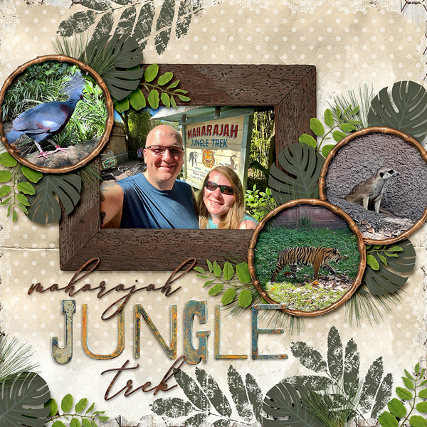jungle-trek-0560rr