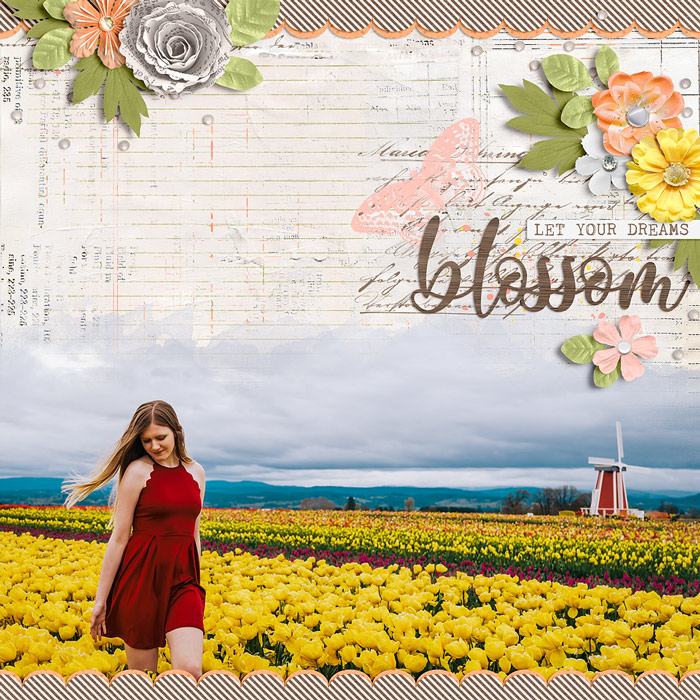 let-your-dreams-blossom-0327rr