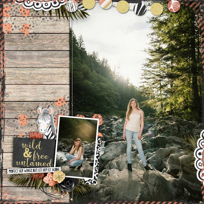 Wild &amp; Free
