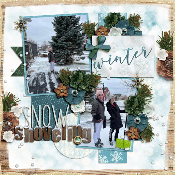 snow_shoveling_ssd