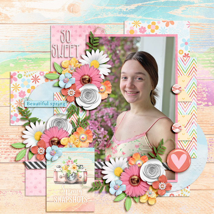 spring_snapshots_ssd