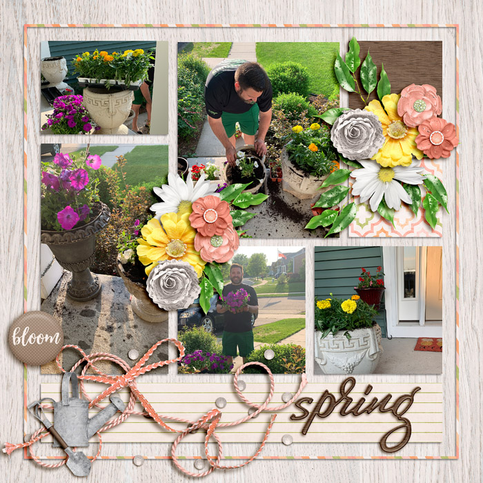 spring_ssd2