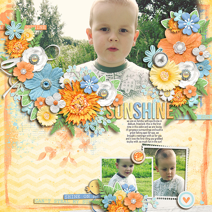 sunshineF7002